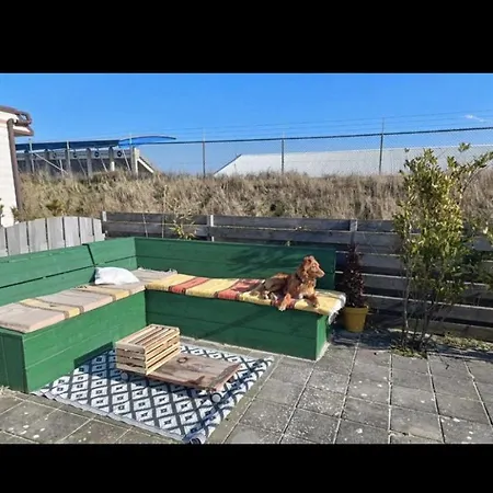 Campingplatz House *